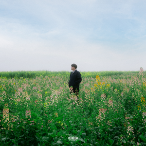 羊藿草儿媳妇帮忙治病
