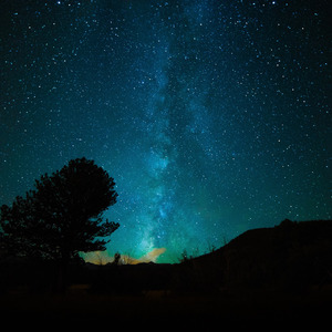 羊藿草儿媳妇帮忙治病
